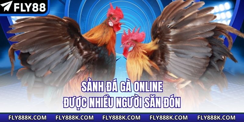 Sảnh đá gà online được nhiều người săn đón