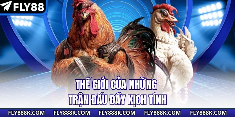 Thế giới của những trận đấu đầy kịch tính
